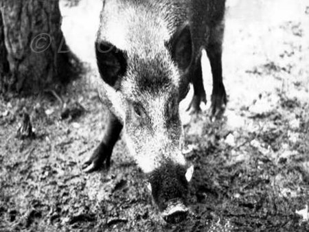 <p>Photo by V. Freidin and K. Manucharov</p>